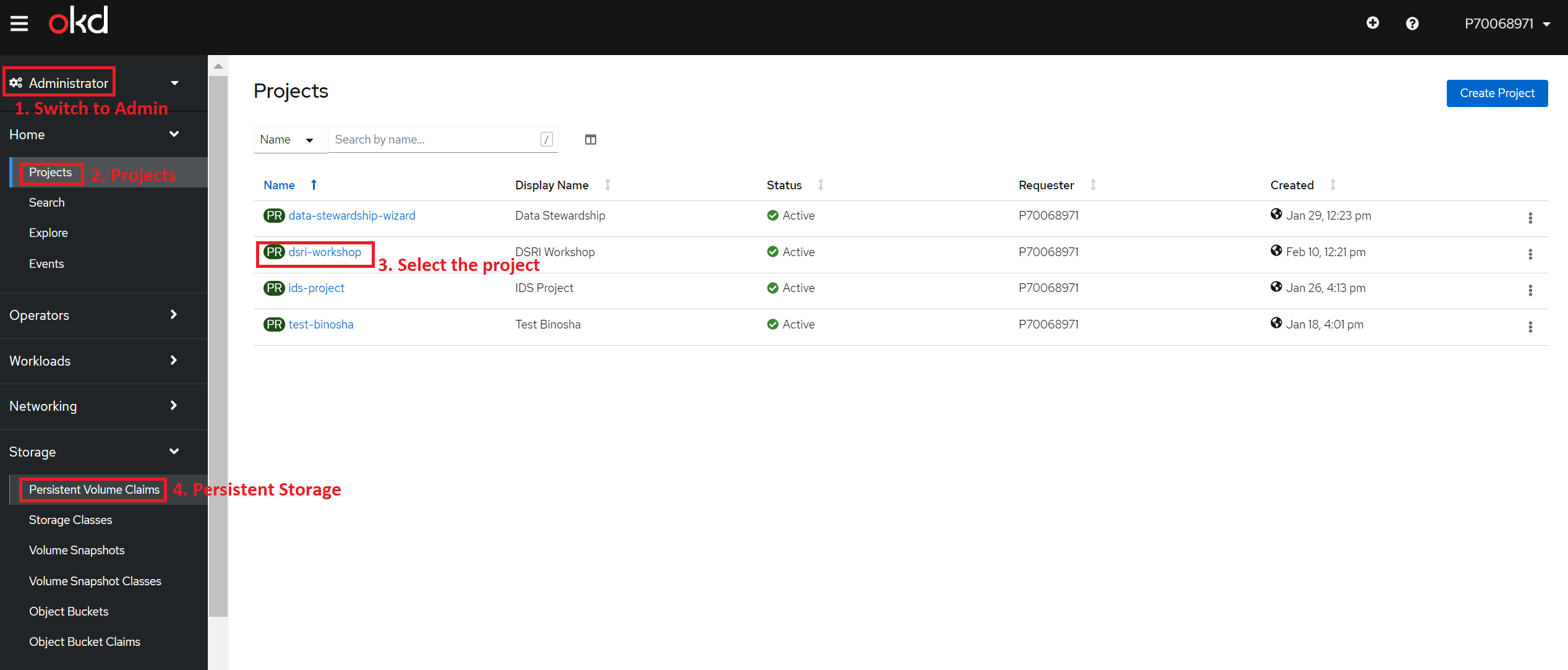 Create Persistent Storage